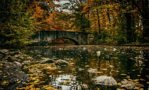 ]Осенний мостик