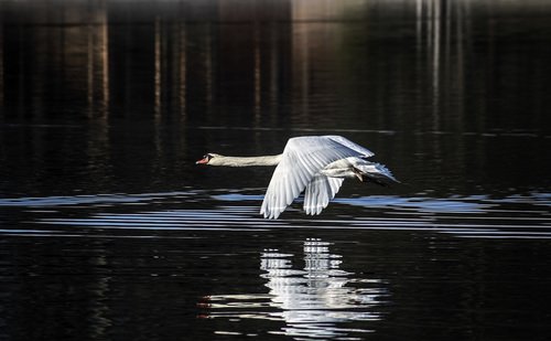 Над водой