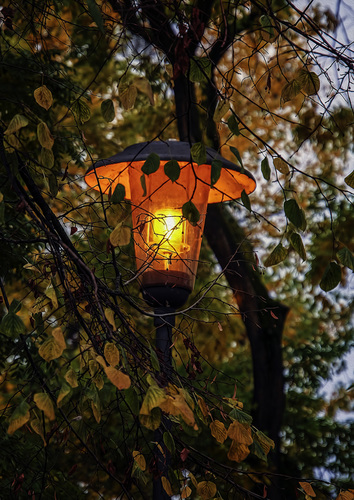 Осенний фонарь