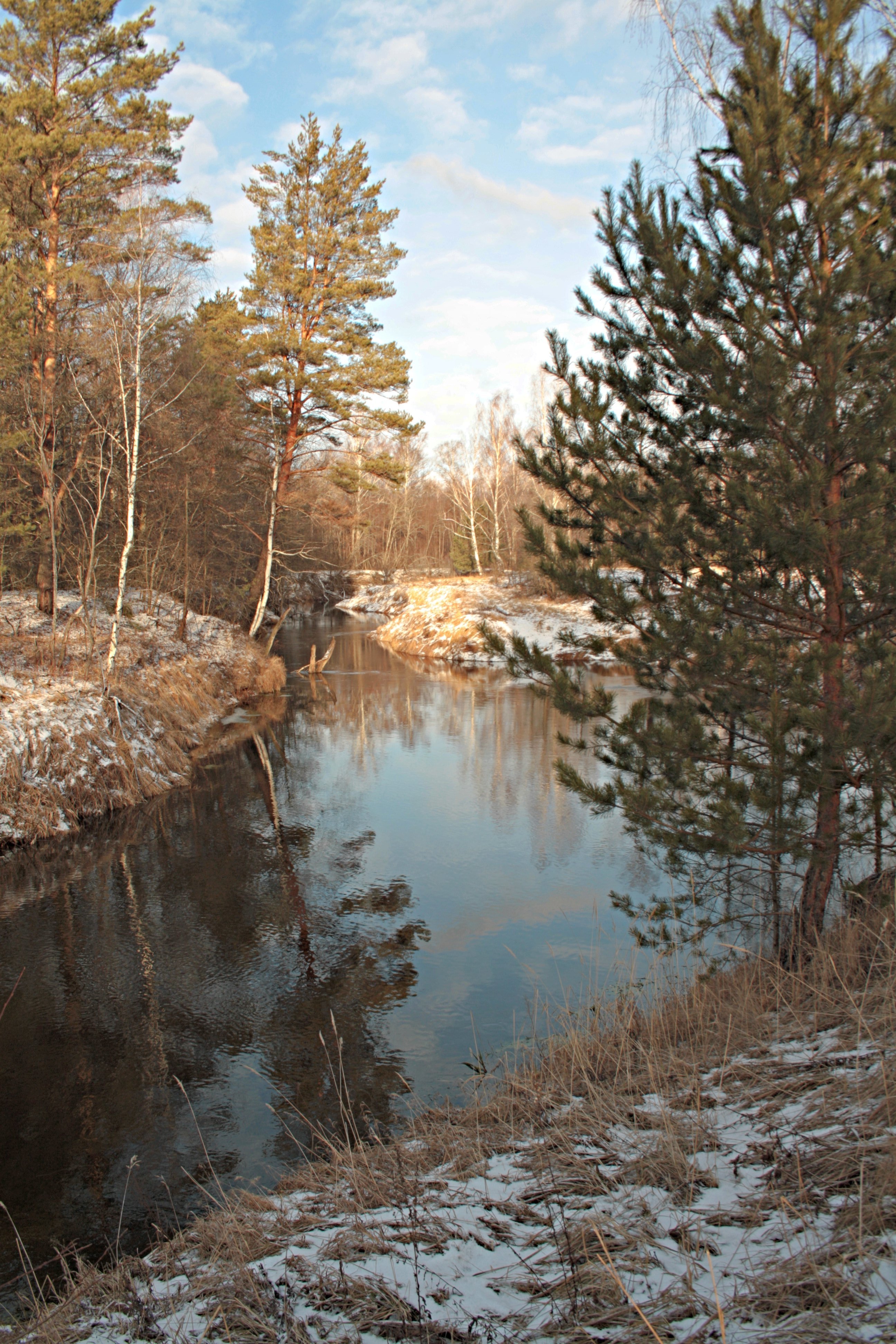 Река серёжа в Нижегородской области