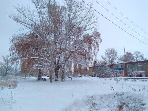 Зима в Писа́ревке.