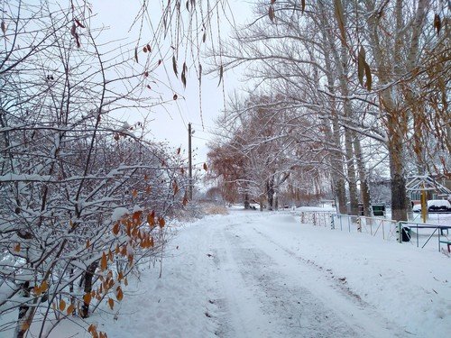 Зима в Писаревке.