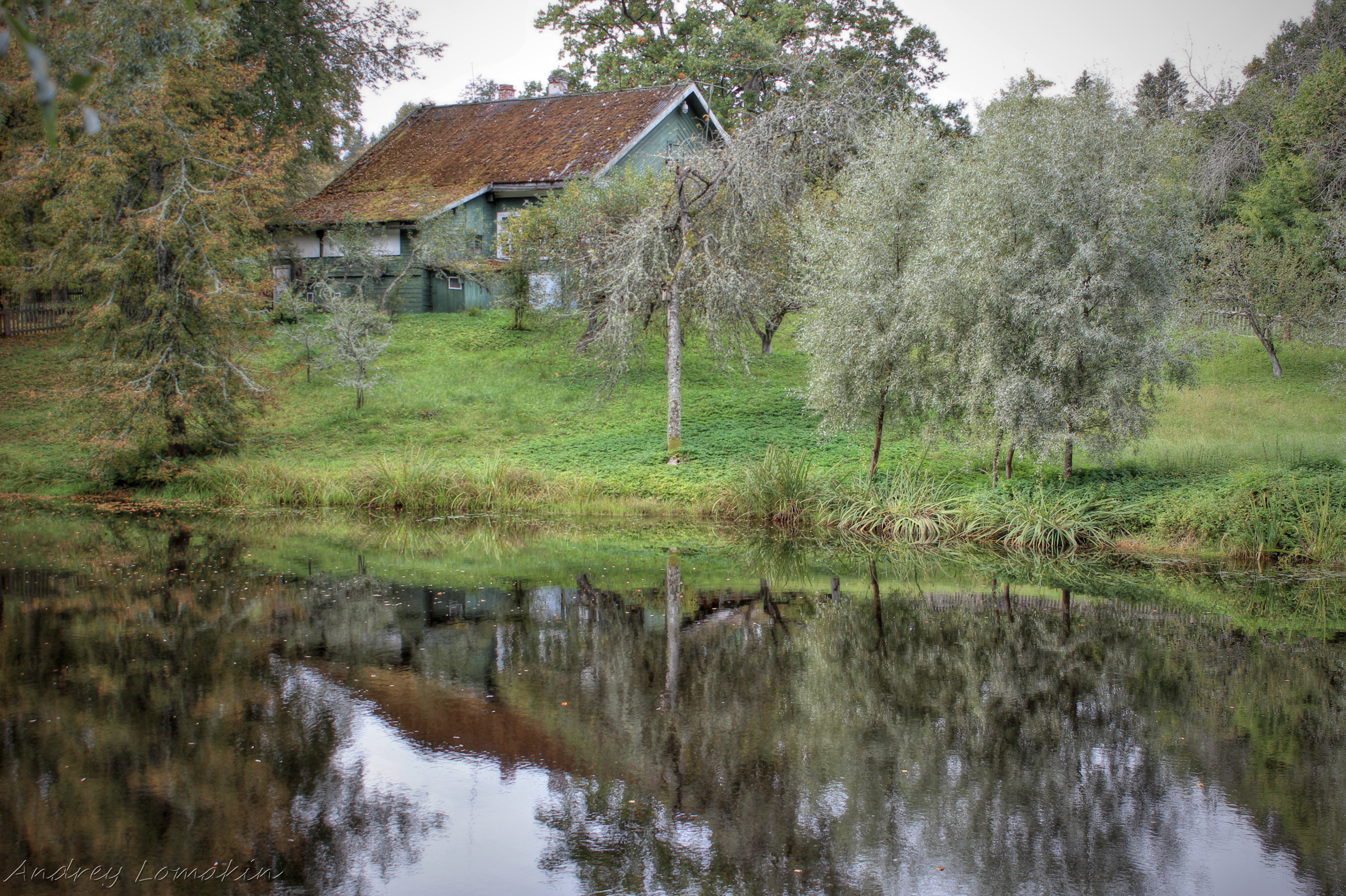 Фотограф Пушкинские горы