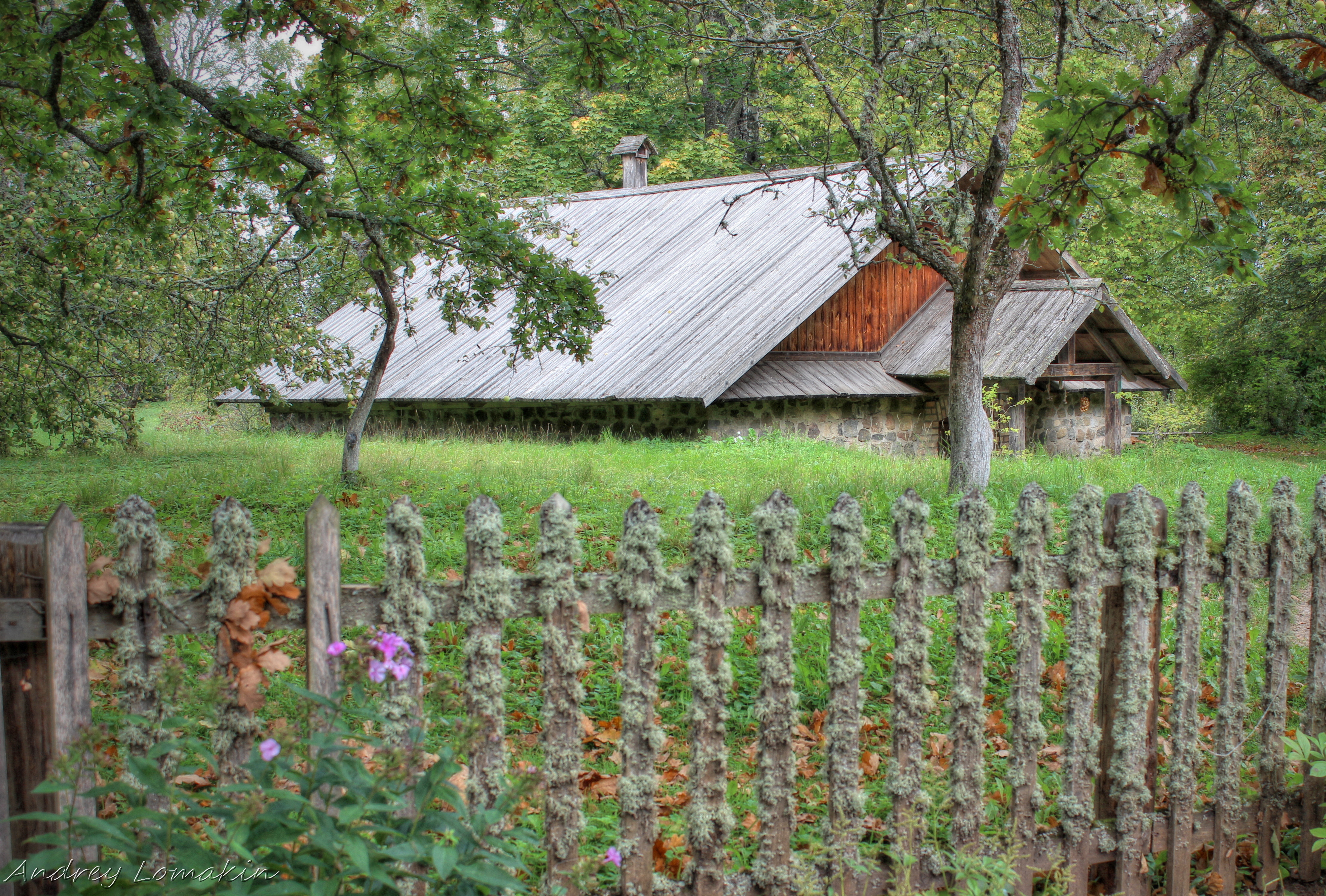 Фотограф Пушкинские горы