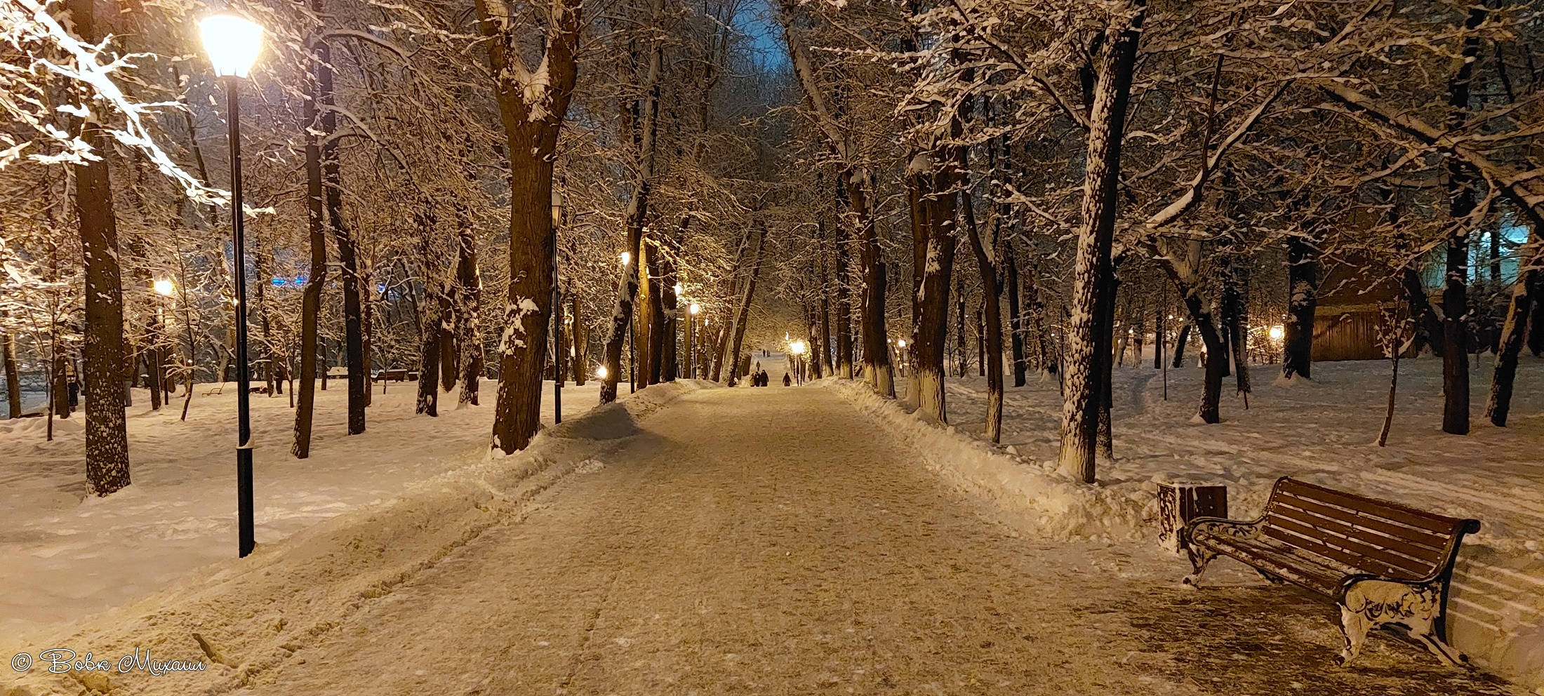 лефортовский парк зимой