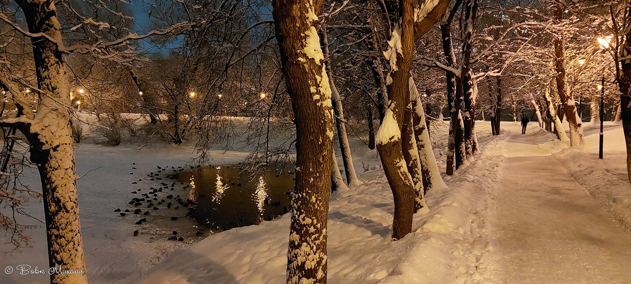 лефортовский парк зимой