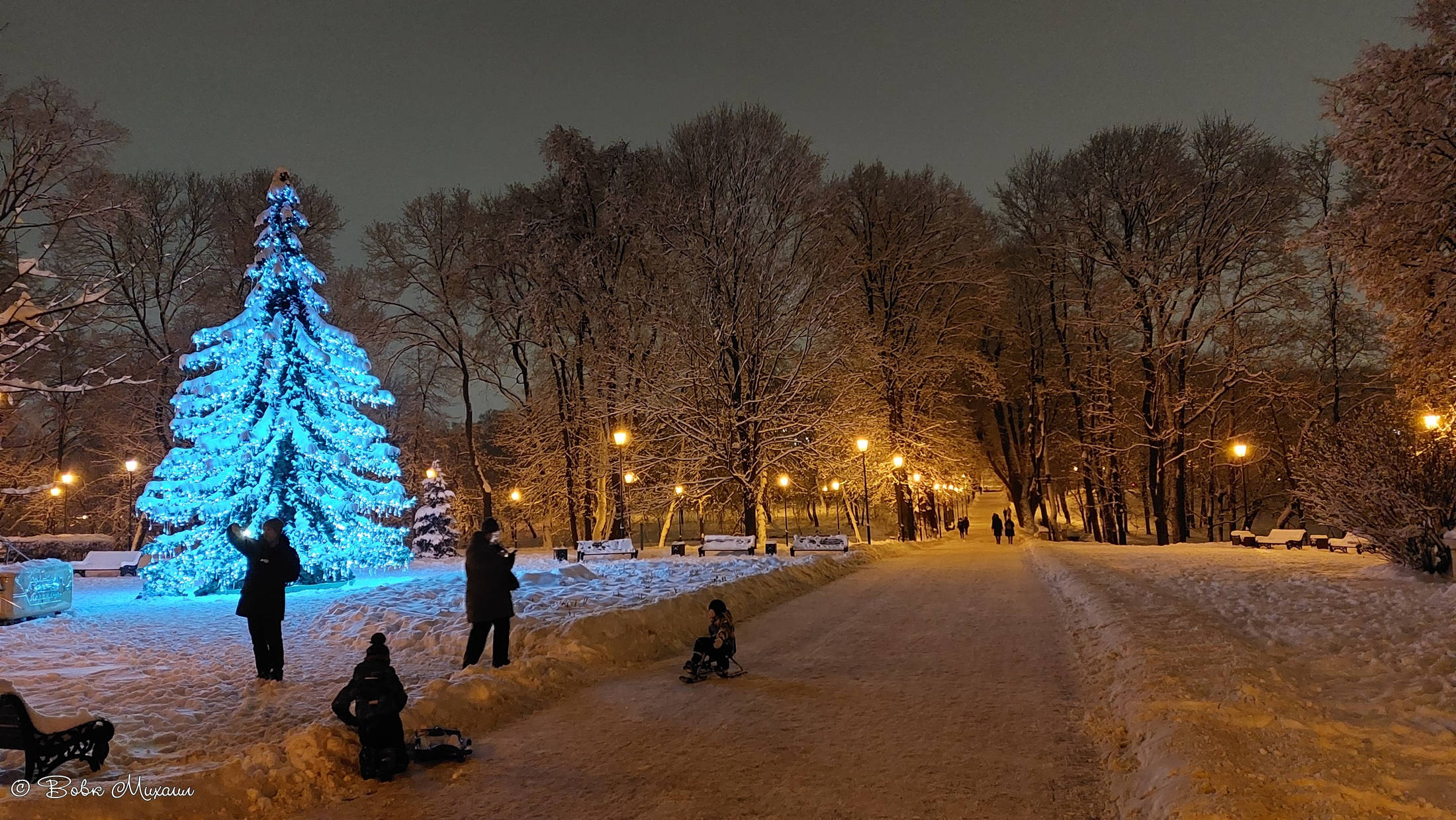 лефортовский парк зимой