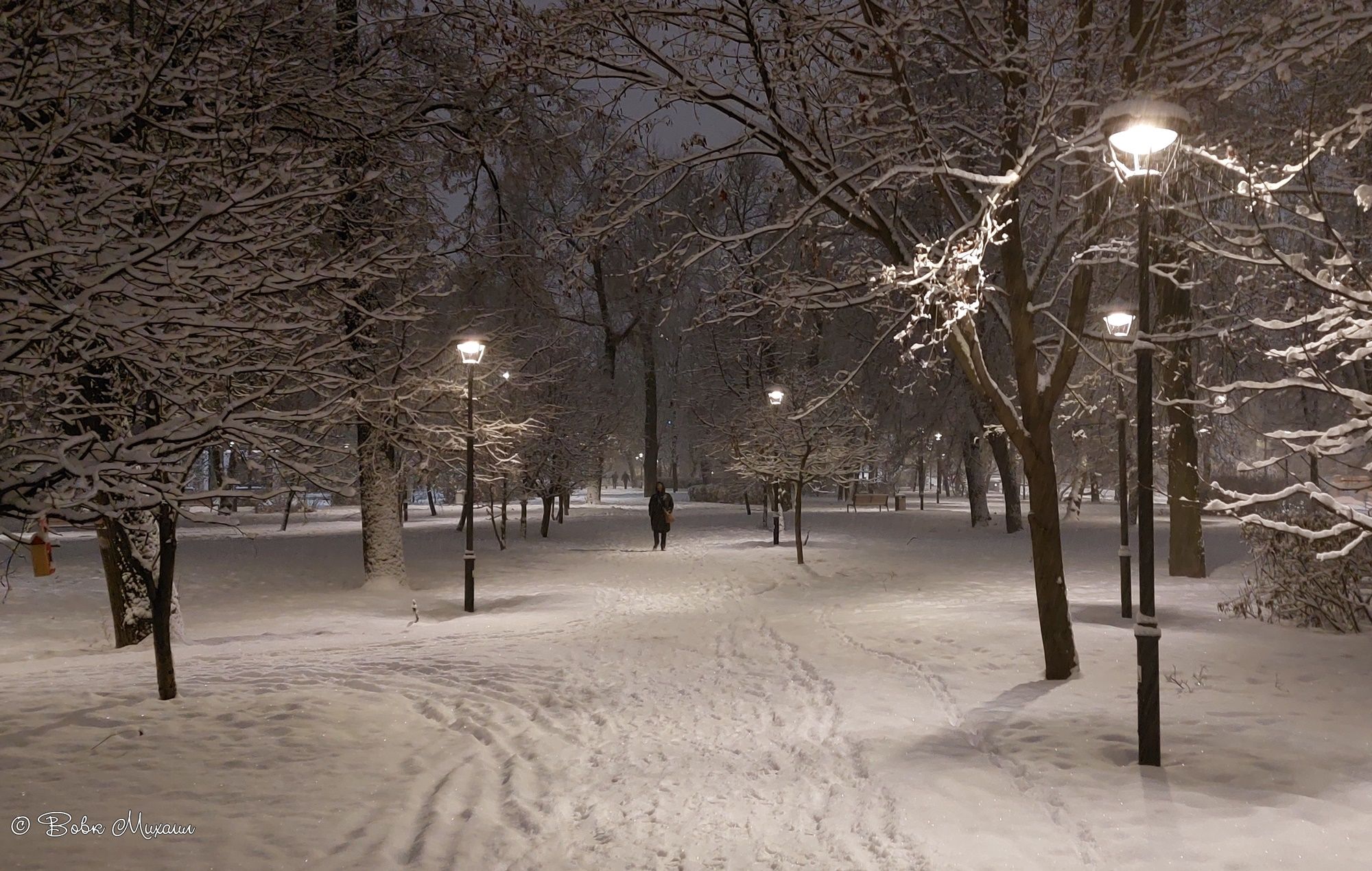 зимний парк в москве