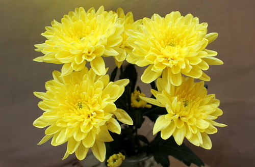 солнечный этюд